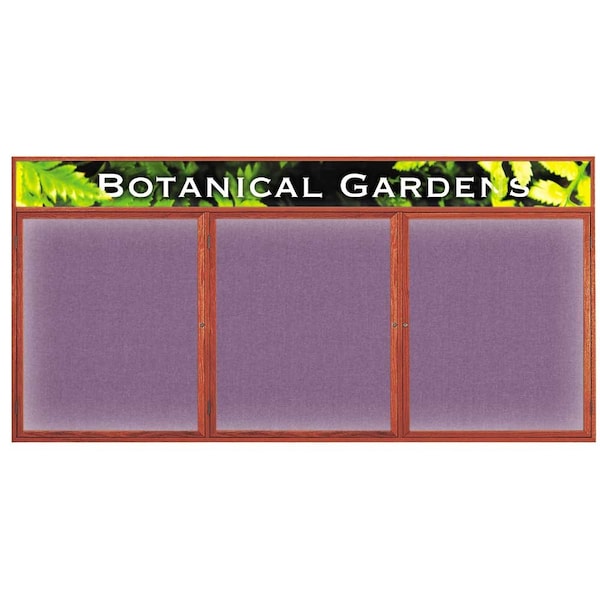 Open Faced Traditional Corkboard, 48x36"